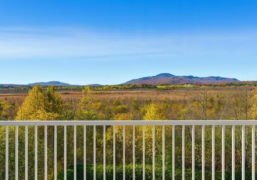 Condo à vendre - 1003 Rue du Moulin, Magog, J1X 7S8