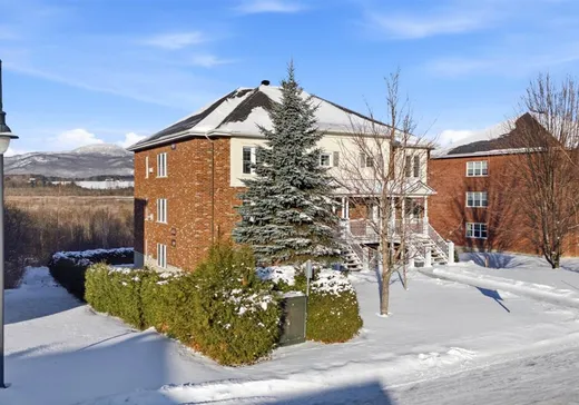 Condo à vendre - 1003 Rue du Moulin, Magog, J1X 7S8
