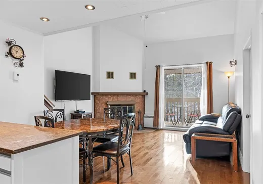 Condo à vendre - 261 Rue Merry S., App. CS-303, Magog, J1X 3L2