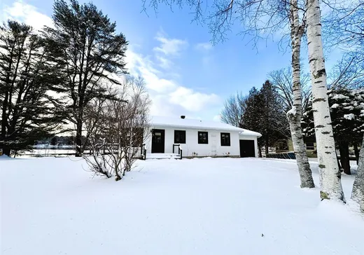 House for sale - 113 Ch. de la Presqu'île, Papineauville, J0V 1E0