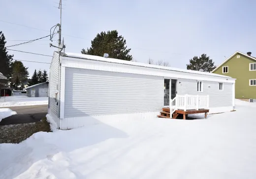 House for sale - 488 Rue de la Plaine, Pohénégamook, G0L 1J0