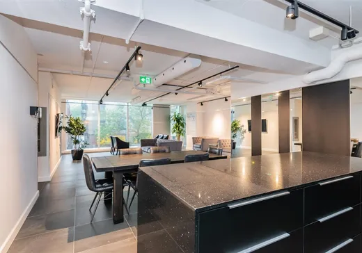 Condo for sale - 1211 Rue Drummond, App. 909, Montreal (Downtown), H3G 0E6