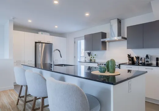 Maison à vendre - 485 Rue Raoul-Jobin, Ville de Québec, G1K 1N5