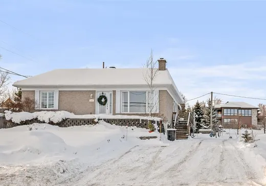 House for sale - 2221 Av. Royale, St-Ferreol-les-Neiges, G0A 3R0