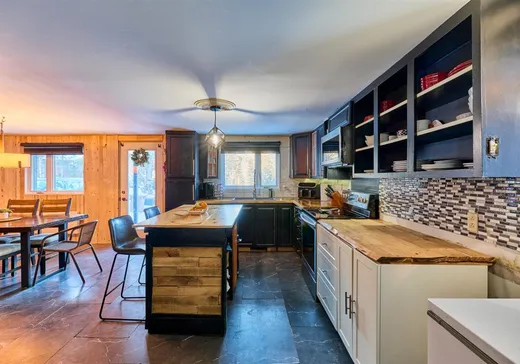 House for sale - 190 Rue Marie-Josée, St-Élie-de-Caxton, G0X 2N0