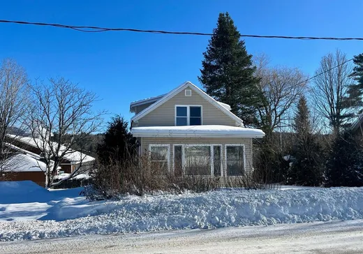 House for sale - 360 Rue Principale, Mansonville, J0E 1X0