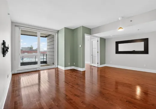 Condo à vendre - 370 Rue St-André, App. 402, Montréal (Vieux-Montréal), H2L 0C4