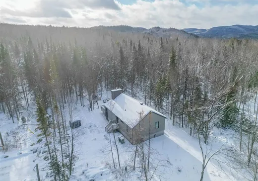 Maison à vendre - 215 Ch. des Chênes, St-Remi-D'Amherst, J0T 2L0