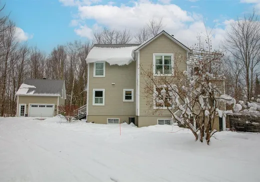 House for sale - 53 Rue de la Héronnière, Eastman, J0E 1P0