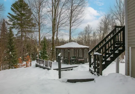 House for sale - 53 Rue de la Héronnière, Eastman, J0E 1P0