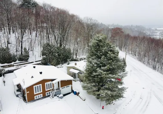 Maison à vendre - 640 Av. Angus, St-Mathieu-Du-Parc, G9T 3A3