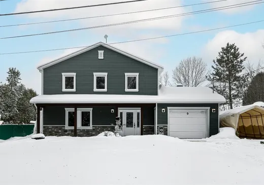 Two or more stories for sale - 9 Ch. Laplante, Windsor, J1S0E2