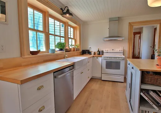 House for sale - 30 Rue du Prince-Albert, Danville, J0A 1A0