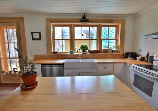 House for sale - 30 Rue du Prince-Albert, Danville, J0A 1A0