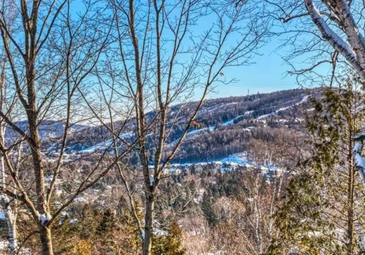 Maison à vendre - 75 Ch. du Domaine-Pagé, Saint-Sauveur, J0R 1R3