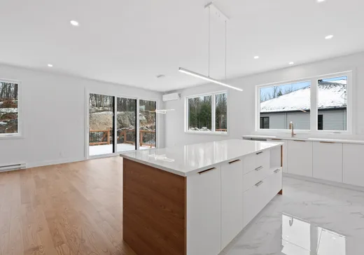 Maison à vendre - 80 Rue Patrick-Hackett, Granby, J2H 3C5