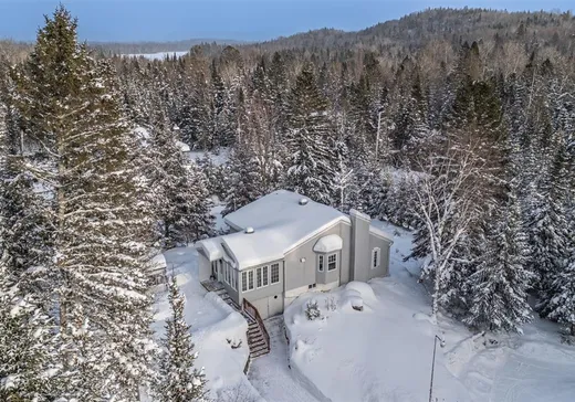 House for sale - 628 Ch. Réjean, Sainte-Agathe-des-Monts, J8C 0N6