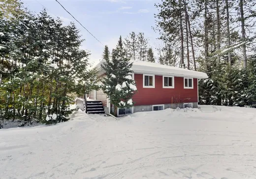 Maison à vendre - 901 Rue des Pâquerettes, Chertsey, J0K 3K0