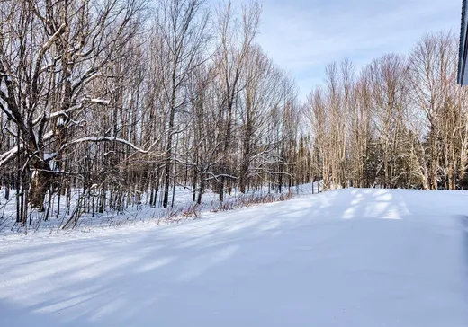 House for sale - 550 Route 108, St-Romain, G0Y 1L0