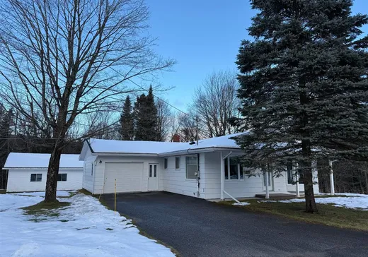 House for sale - 401 Rue Lowry, Kinnear's Mills, G0N 1K0