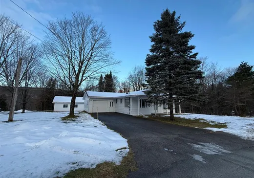 House for sale - 401 Rue Lowry, Kinnear's Mills, G0N 1K0