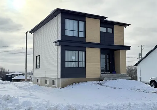 Maison à vendre - 1378 Av. Cantin, Donnacona, G3M 0J8