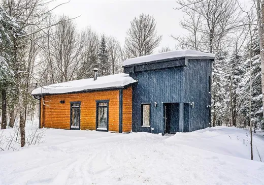 Maison à étages à vendre - 10 Ch. Lily-Butters, Eastman, J0E1P0