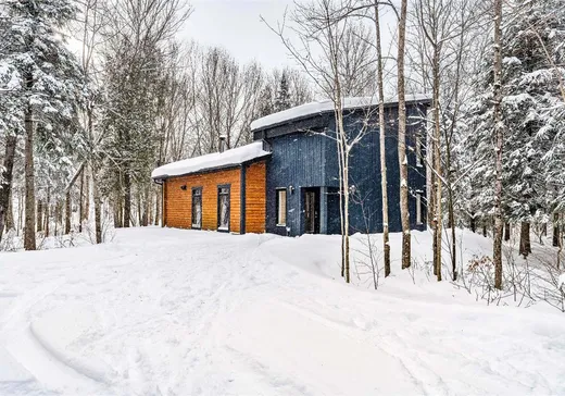 Maison à vendre - 10 Ch. Lily-Butters, Eastman, J0E 1P0