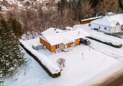 House for sale - 465 Rue Jeanne-Mance, Coaticook, J1A 1W7