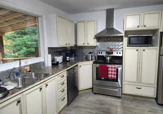 Maison à vendre - 1992 Ch. de Notre-Dame-de-la-Merci, Notre-Dame-de-la-Merci, J0T 2A0