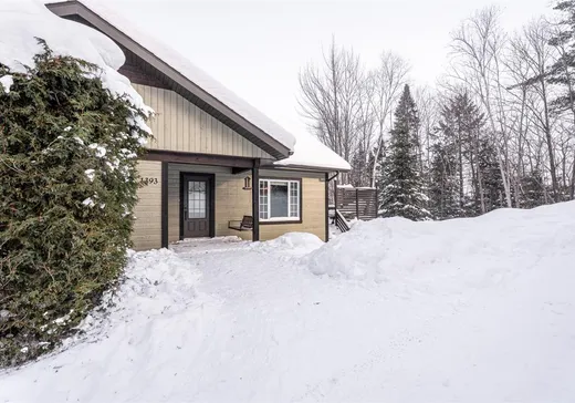 Maison à vendre - 1393 Rue des Tulipes, Sainte-Agathe-des-Monts, J8C 0G1