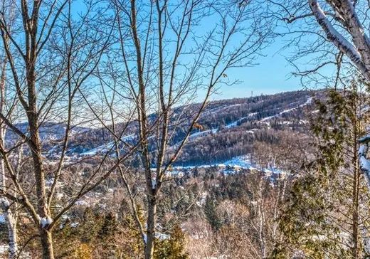 Maison à vendre - 75 Ch. du Domaine-Pagé, Saint-Sauveur, J0R 1R3