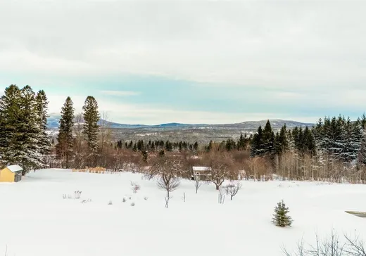 Maison à vendre - 32 10e Rang O., Notre-Dame-Des-Boies, J0B 2E0