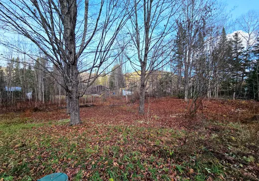 Maison à vendre - 214 Route Richard, Matane, G0J 3E0