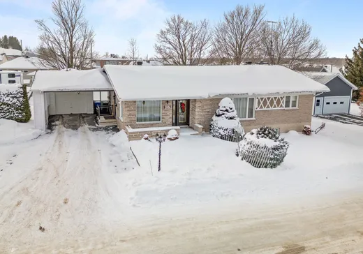 House for sale - 427 Rue de la Boulangerie, Iles-Aux-Coudres, G0S 2G0