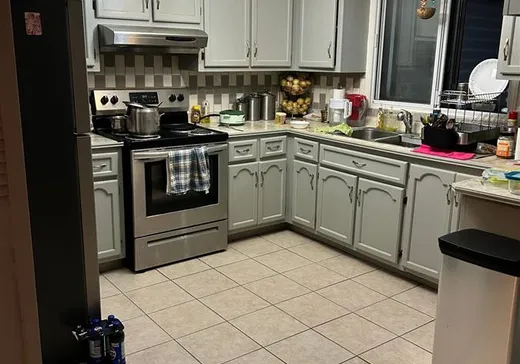 Maison à vendre - 8190 Rue Cordner, Montréal (LaSalle), H8N 2N2