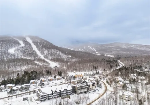 Condo à vendre - 4940 Ch. du Parc, App. E209, Orford, J1X 7N9