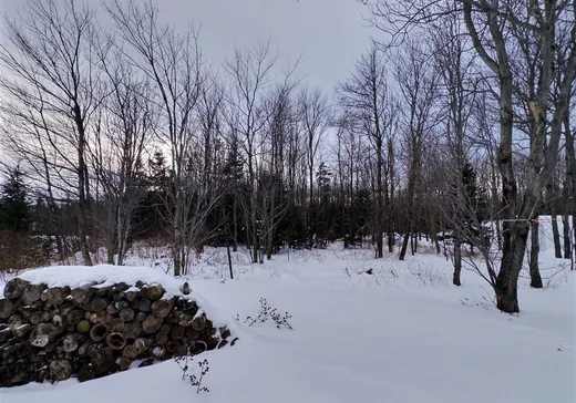 Maison à vendre - 261 Rue J.-J.-Bélanger, Rivière-du-Loup, G5R 5V9