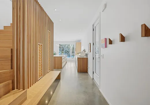 Maison à vendre - 148 Ch. George-Bonnallie, Eastman, J0E 1P0