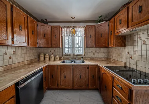 Maison à vendre - 124 Rue Poitras, Val des Sources, J1T 3Z2