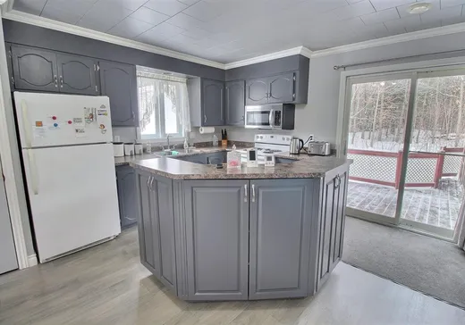 House for sale - 412 Ch. Lavallée, Acton Vale, J0H 1A0