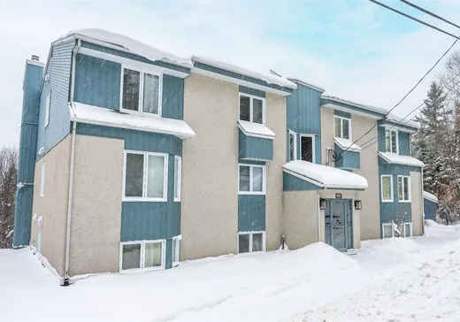 Condo à vendre - 1208 Rue Bellevue, App. 1, Saint-Faustin, J0T1J3