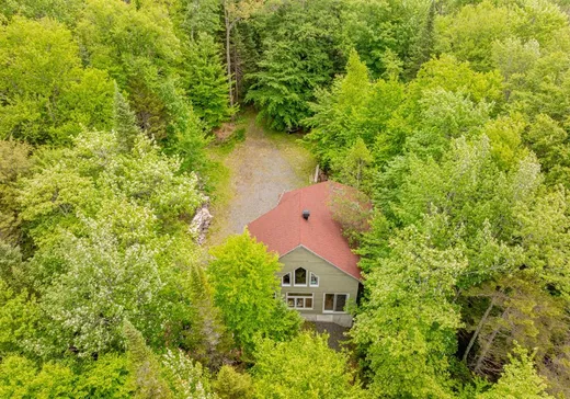 Maison à vendre - 720 Ch. du Lac-Veillette S., Lac-aux-Sables, G0X 1M0