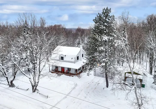 Maison à vendre - 42 Ch. Pépin, La Minerve, J0T 1S0