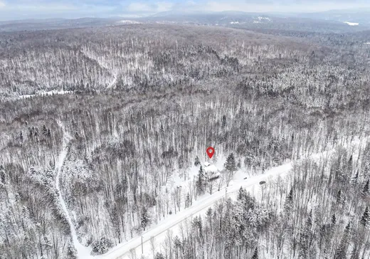 Maison à vendre - 42 Ch. Pépin, La Minerve, J0T 1S0