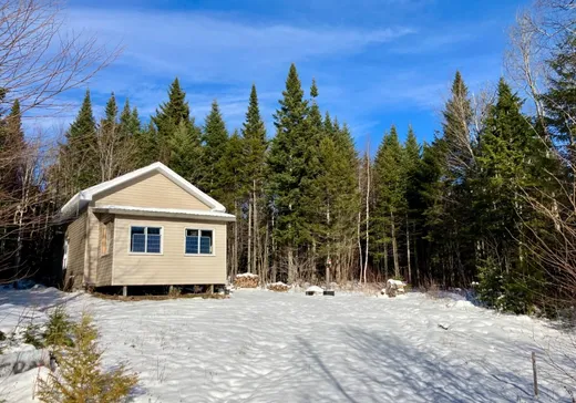 Maison à vendre - 35B Ch. des Limites, St-Fabien-De-Panet, G0R 2J0