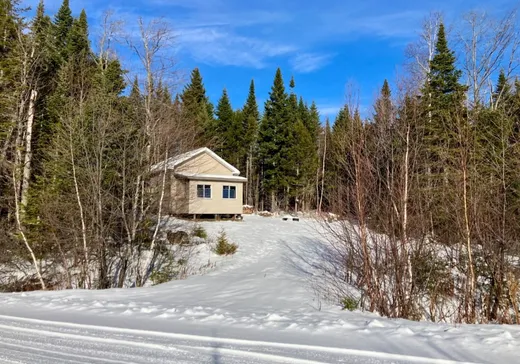 Maison à vendre - 35B Ch. des Limites, St-Fabien-De-Panet, G0R 2J0