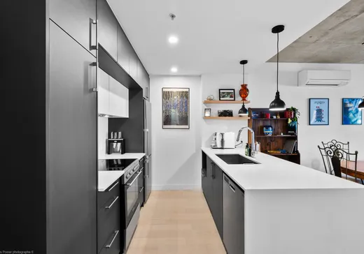Condo for sale - 2615 Rue Augustin-Cantin B210, Montreal (Plateau-Mont-Royal), H3K 0C2