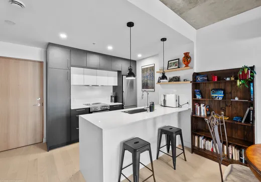 Condo for sale - 2615 Rue Augustin-Cantin B210, Montreal (Plateau-Mont-Royal), H3K 0C2