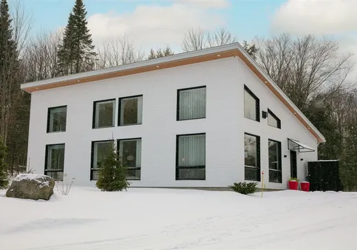 Maison à vendre - 10 Rue de la Montée, Eastman, J0E 1P0